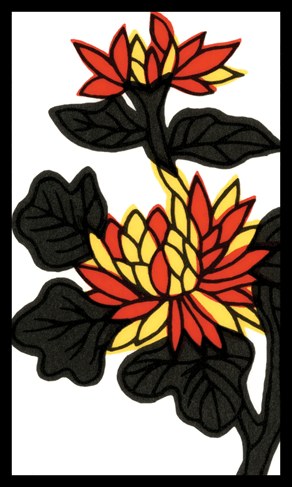hanafuda card september chrysanthemum plain junk kasu