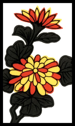 hanafuda card september chrysanthemum plain junk kasu